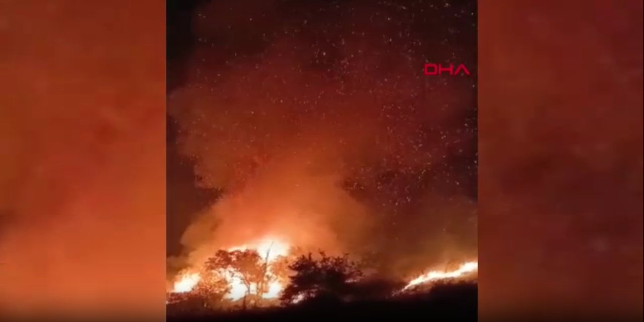 Adıyaman'daki yangında 150 dönüm küle döndü