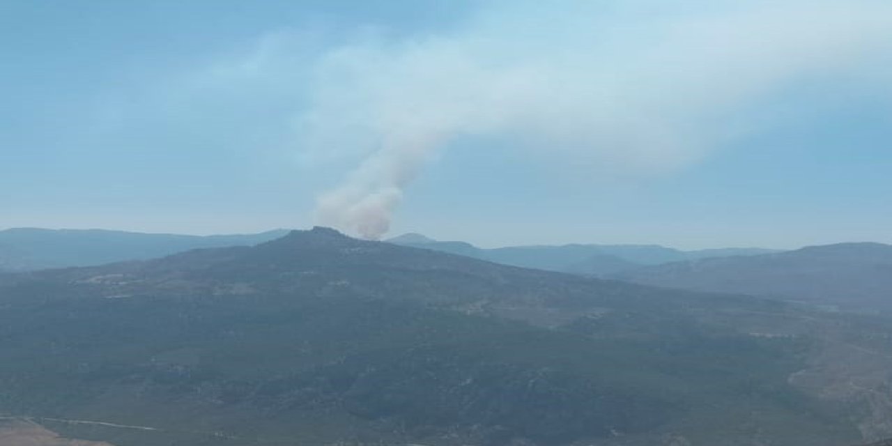 Karaman'da orman yangını
