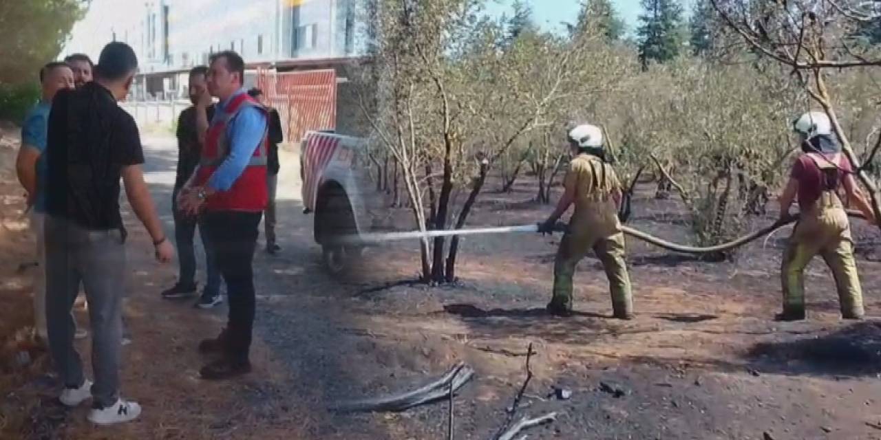 Facianın eşiğinden dönüldü! Yangın ormana sıçramadan söndürüldü