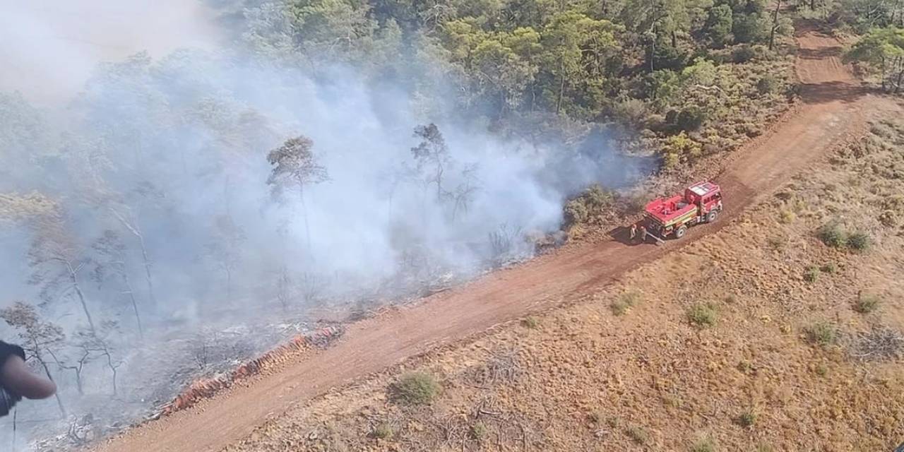 Son dakika | Kabus bitmek bilmiyor ciğerlerimiz yanıyor! Fethiye’de orman yangını