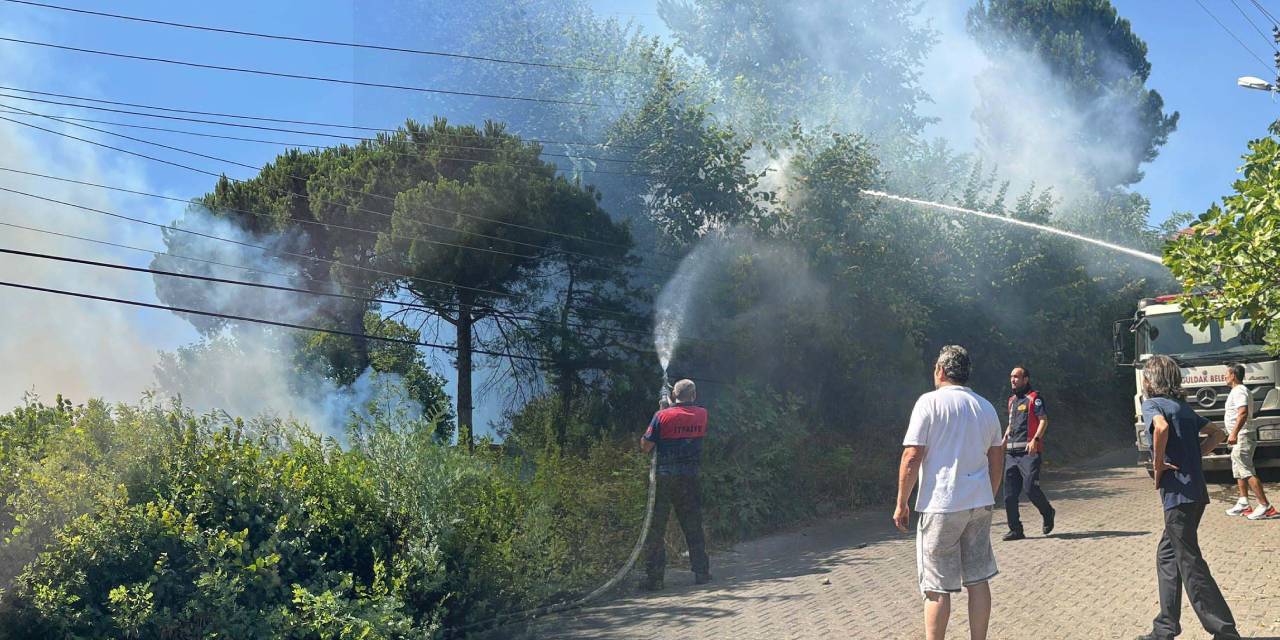 Ağaçlık alanda çıkan yangın büyümeden söndürüldü!