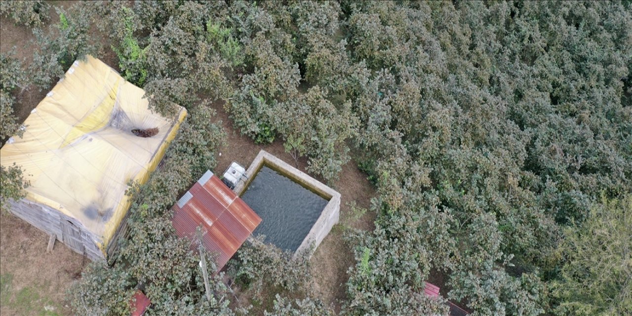 Tarlasına kurduğu sistem servet kazandırıyor: Her şey 10 yıllık mesleğini bırakarak köyüne dönünce oldu