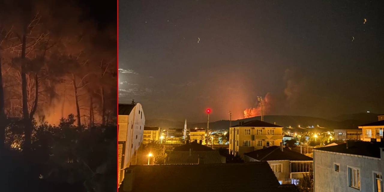 Çanakkale'de bir orman yangını daha başladı