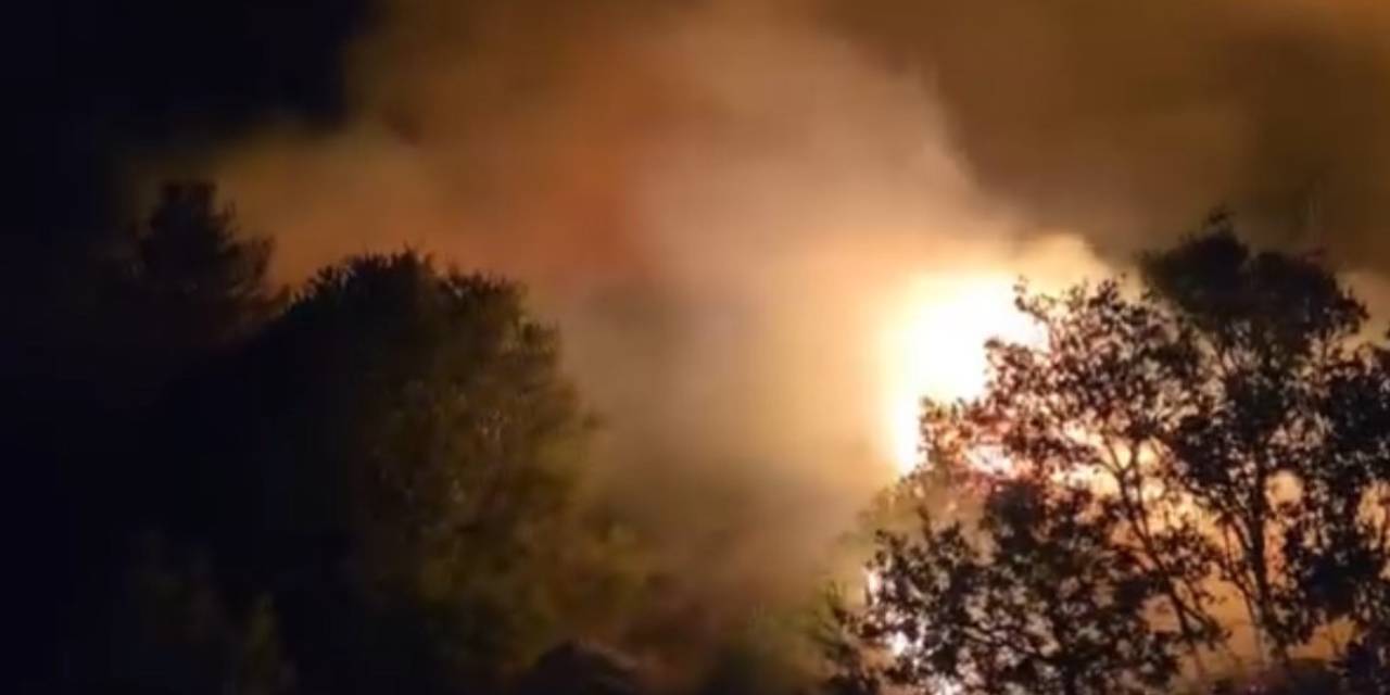 İzmir'de orman yangını: Urla alev alev yanıyor