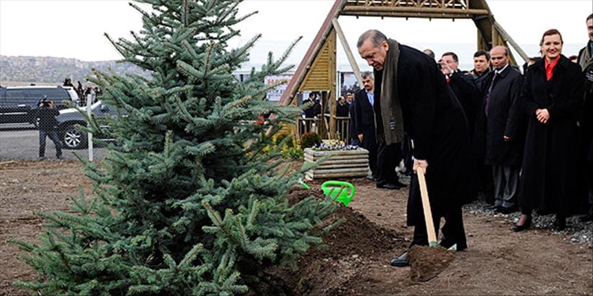 Erdoğan iki kent için imzayı attı: O alanlar artık orman sayılmayacak!