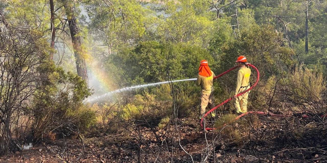 Fethiye’de çıkan yangın 2,5 saatin ardından söndürüldü!