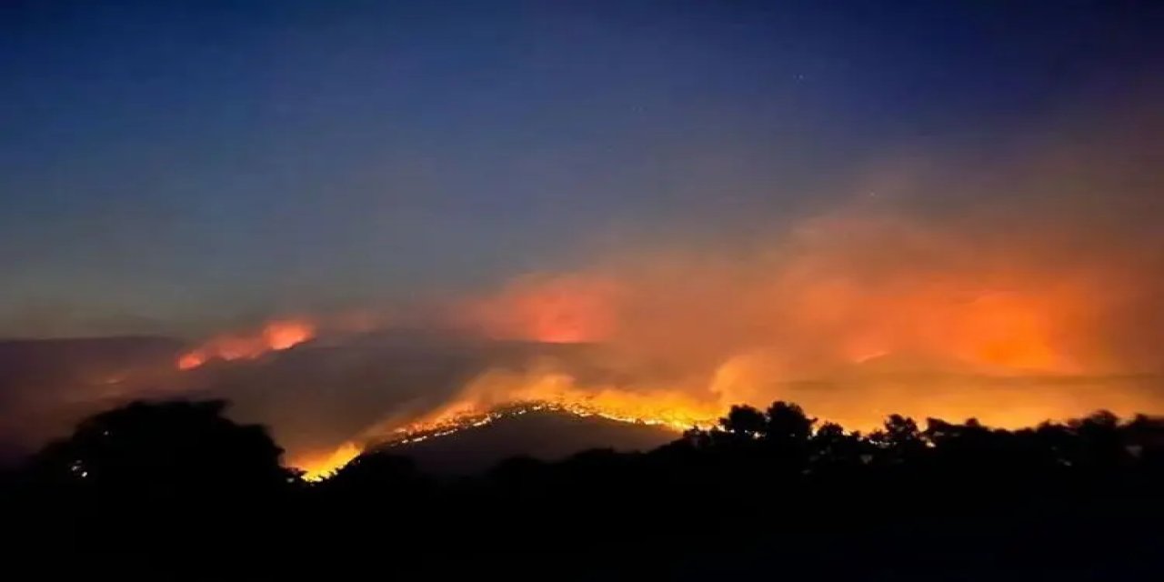 Kocaeli'de yangın kontrol altına alındı