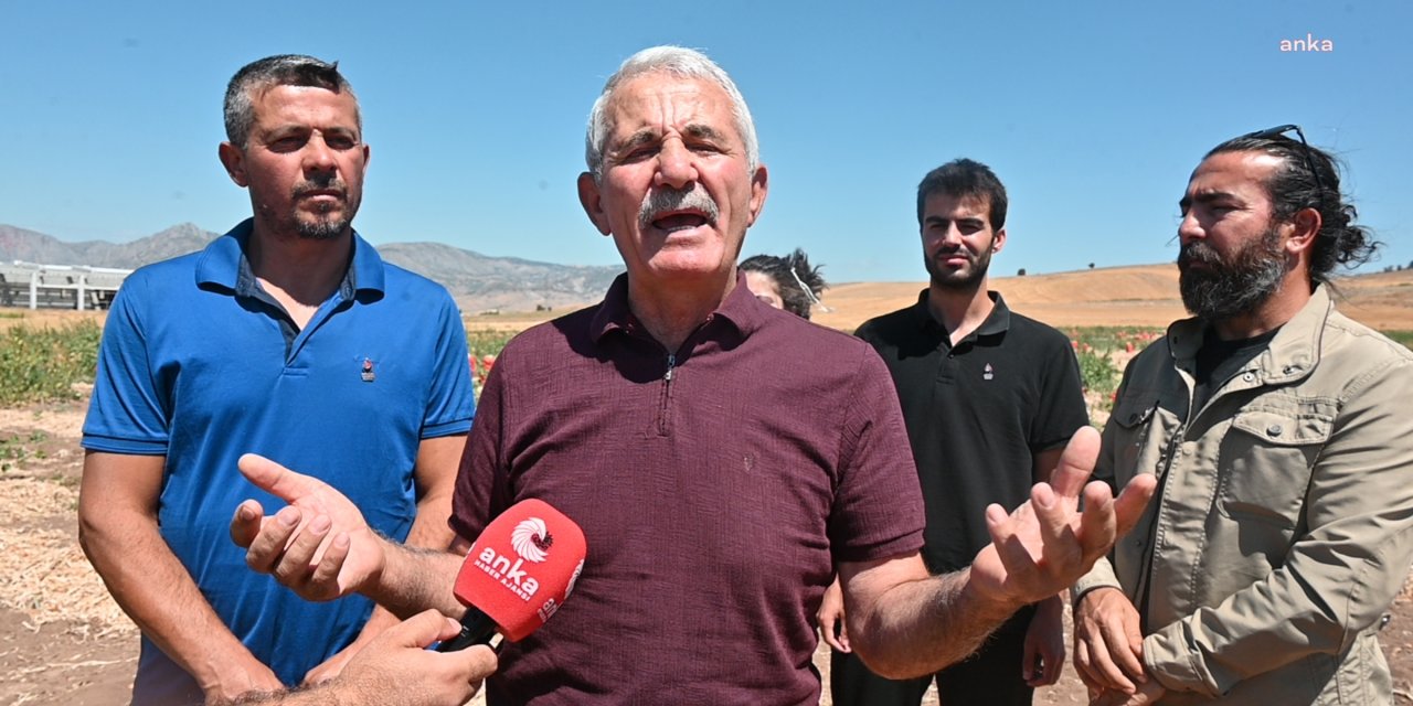 Çiftçiler felaketin eşiğinde: Dondan doğan zararlar hala ödenmedi