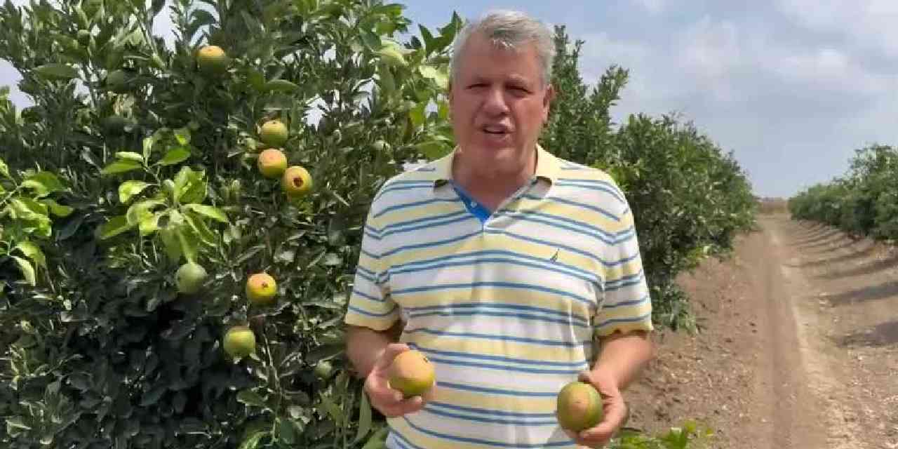 CHP'li Ayhan Barut: Tarımsal üretimi ve çiftçileri sıcak yaktı