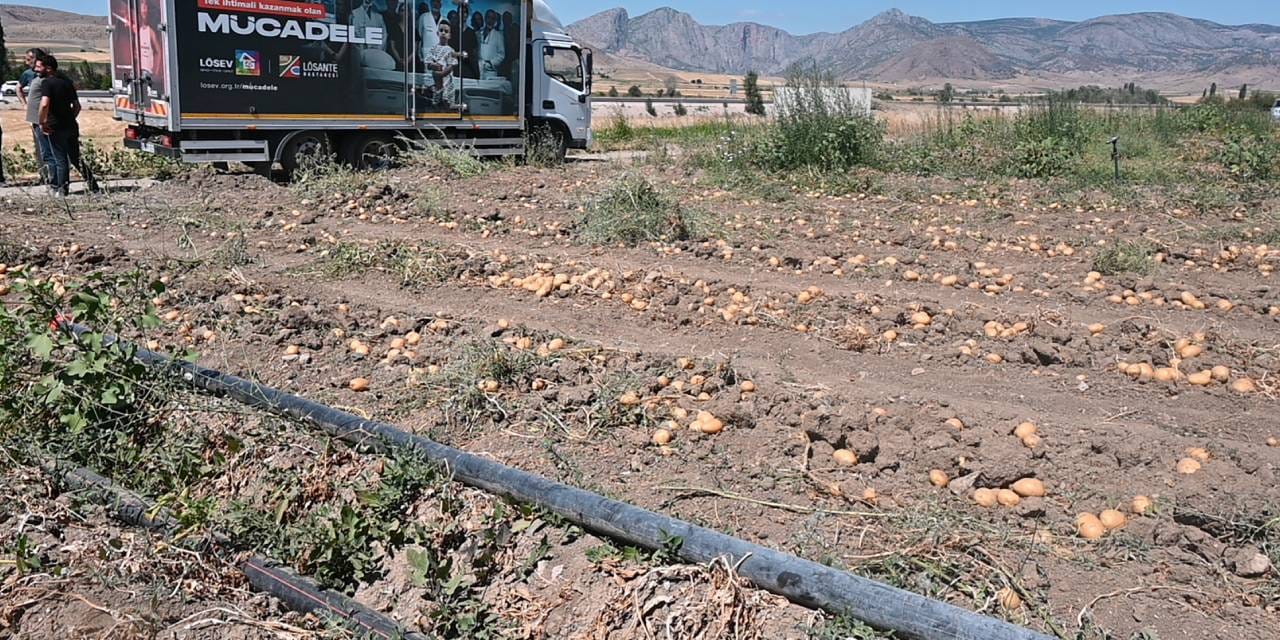Yozgat’ta soğan ve patates tarlada kaldı: Çiftçi ürününü ücretsiz dağıtıyor
