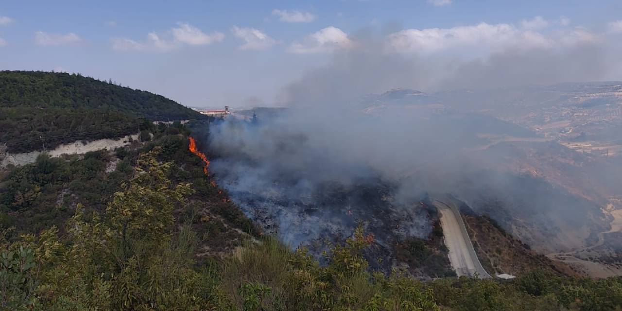 Hatay'da çıkan orman yangını kontrol altına alındı