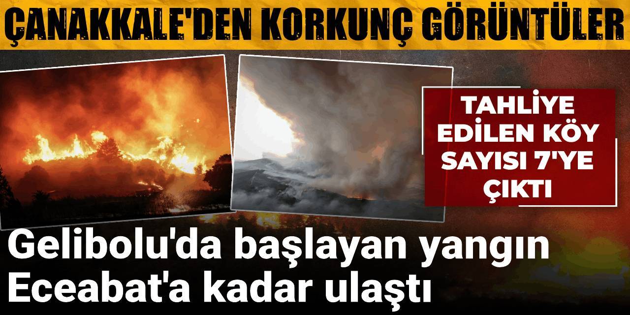 Gelibolu'da başlayan yangın Eceabat'a kadar ulaştı