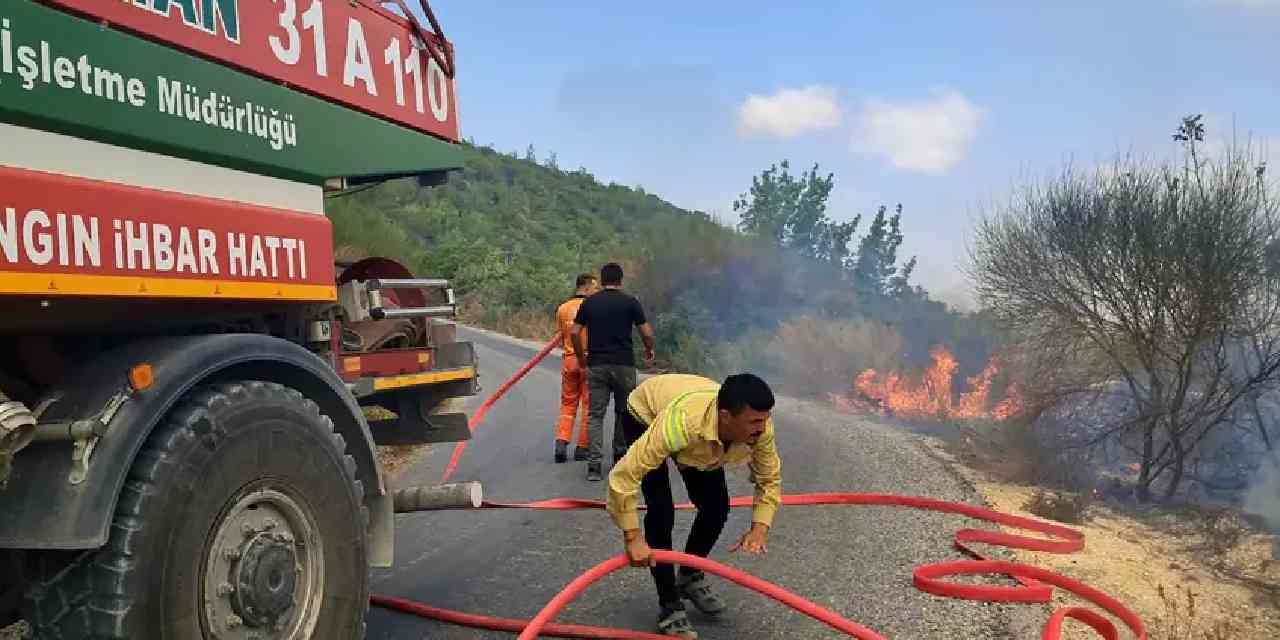 Suriye sınırında çıkan orman yangını kontrol altına alındı