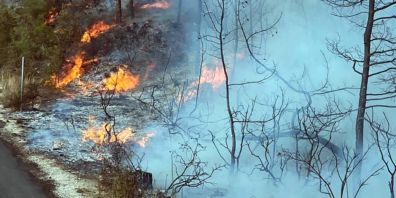 Adana'da orman yangını: Havadan ve karadan müdahale ediliyor