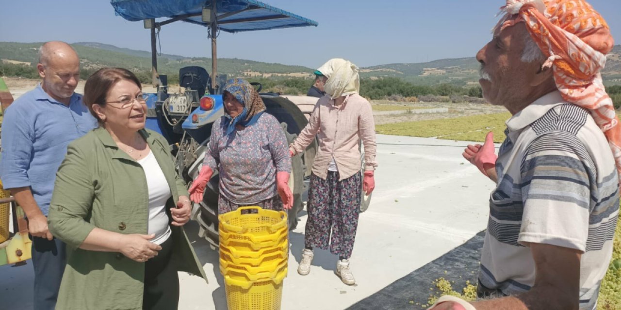 Gülizar Biçer Karaca'dan Tarım Bakanlığına kurum üzüm çağrısı