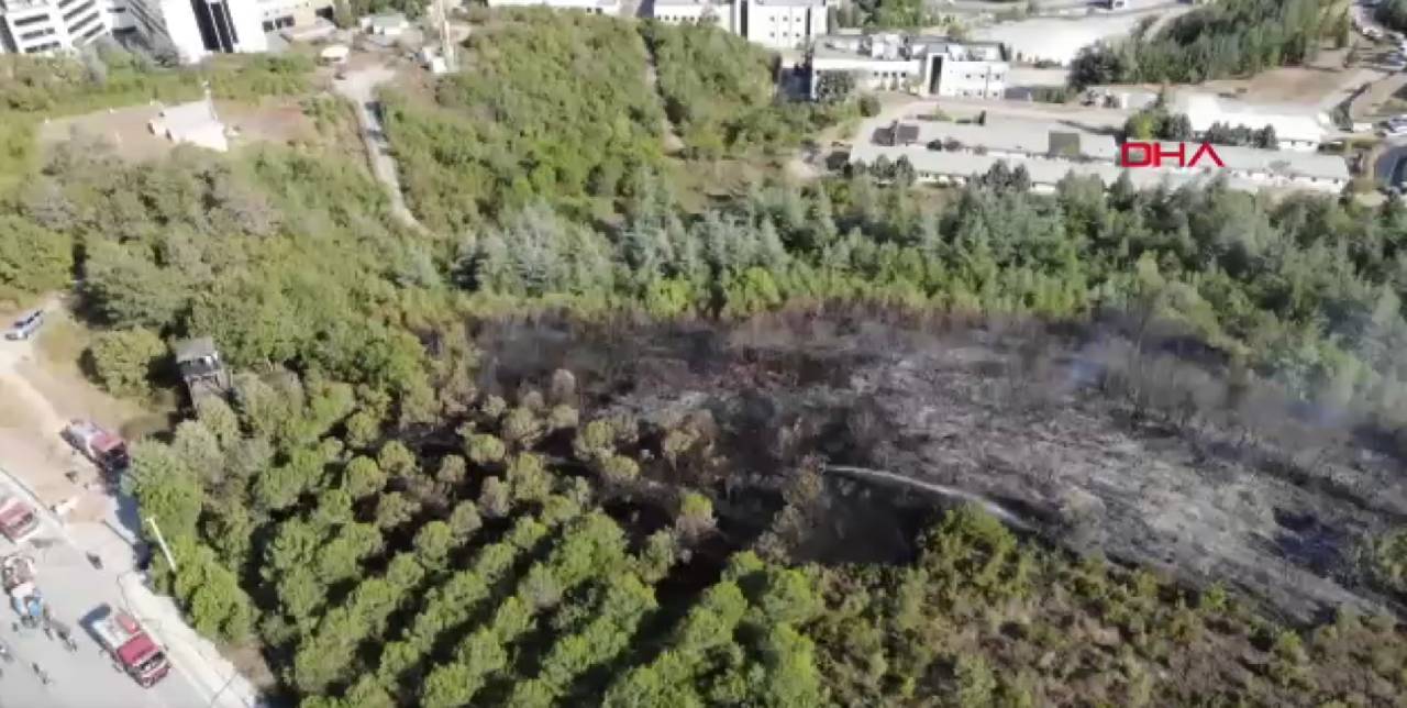 İzmit’te ormanda çıkan yangını söndürüldü
