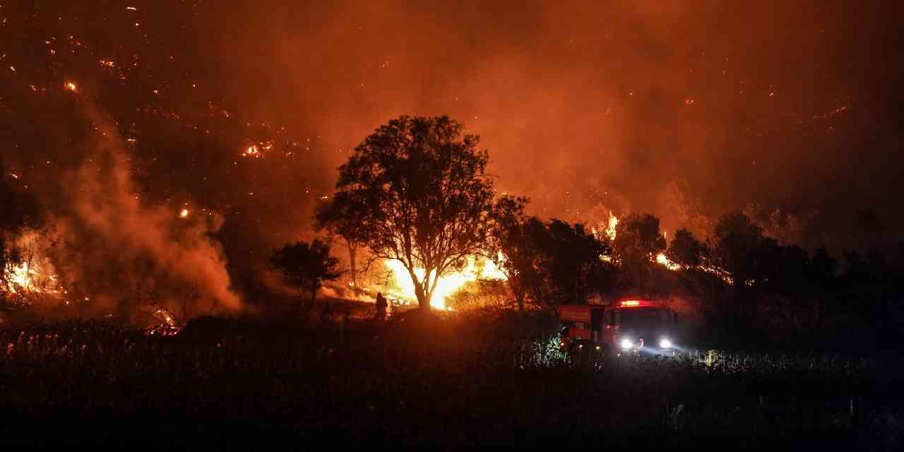Bakan açıkladı: Çanakkale ve Adana yangınları büyük ölçüde kontrol altında