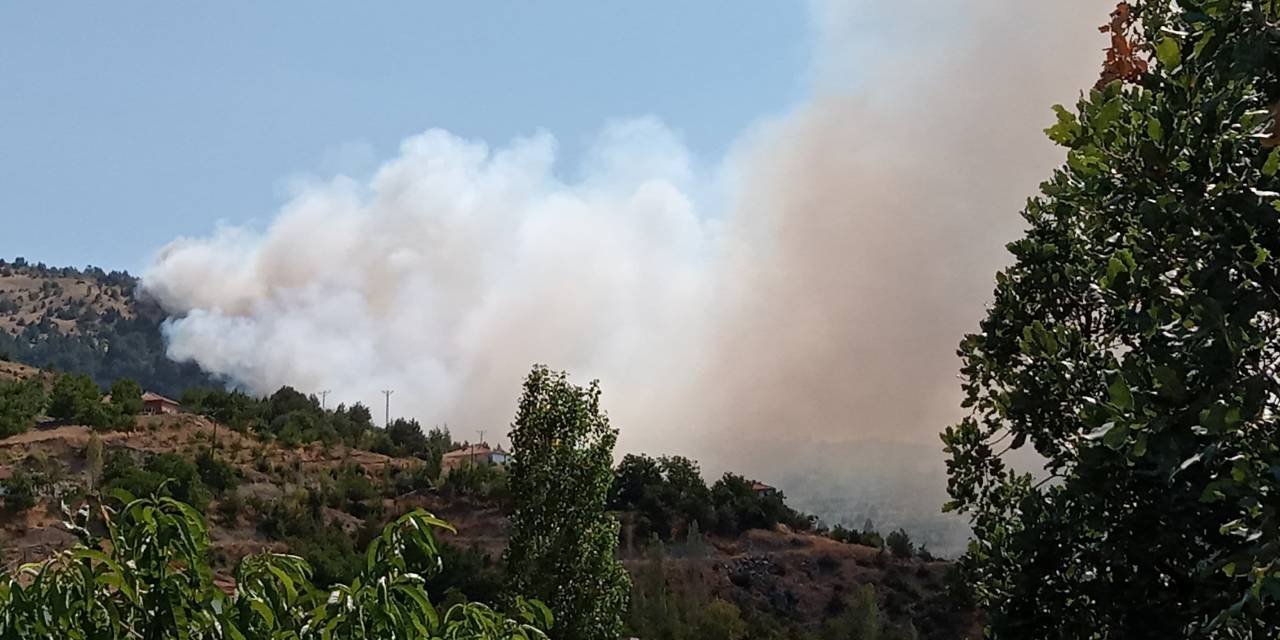Çorum'da ormanlık alanda yangın