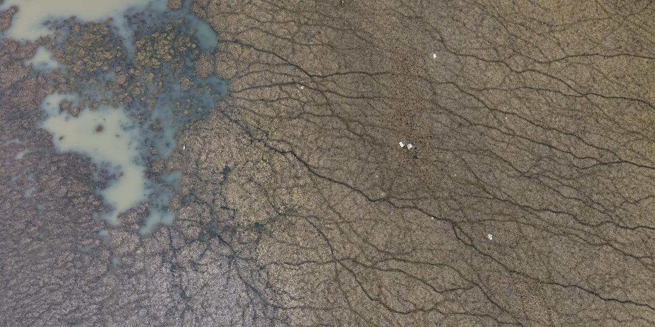 'Beyşehir Gölü öldü'