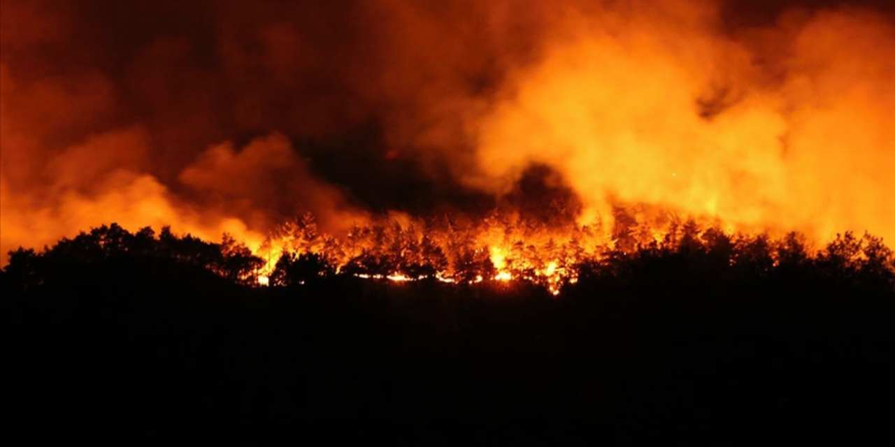 Define ararken orman yangınına neden oldular: 5 kişi hakkında istenen ceza belli oldu