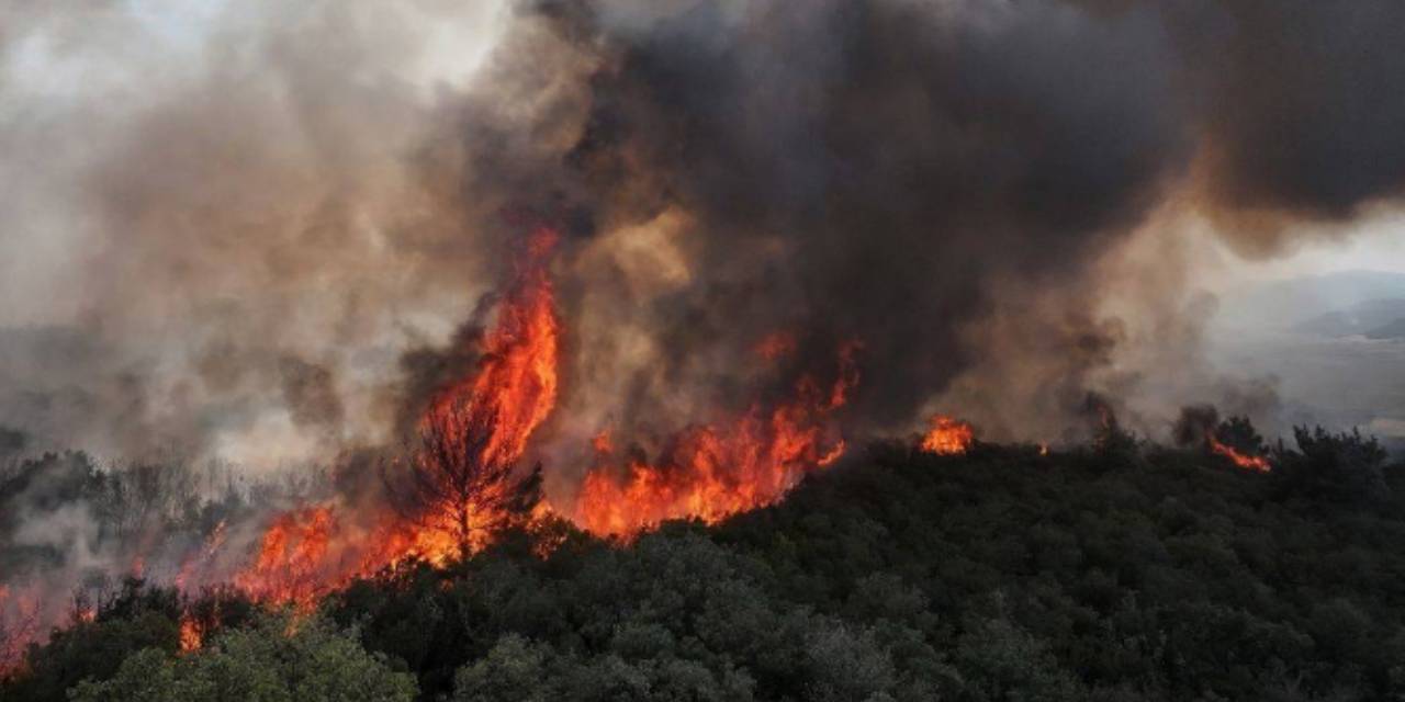 Son dakika | Bursa’da orman yangını! Kara dumanlar gökyüzünü kapladı
