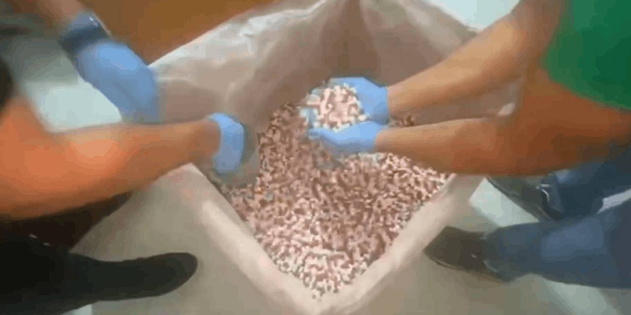 Dünya kadar uyuşturucu İstanbul'dan çıktı!  7 milyon hap ele geçirildi