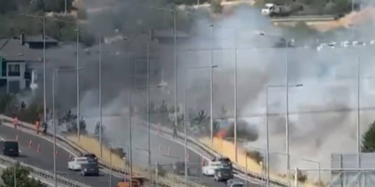 Otoyol kenarında korkutan yangın! Çıkış nedeni çileden çıkardı