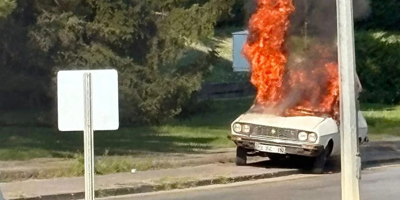 İktidarın önde gelen kalemi Beyaz Toros eylemini anlattı