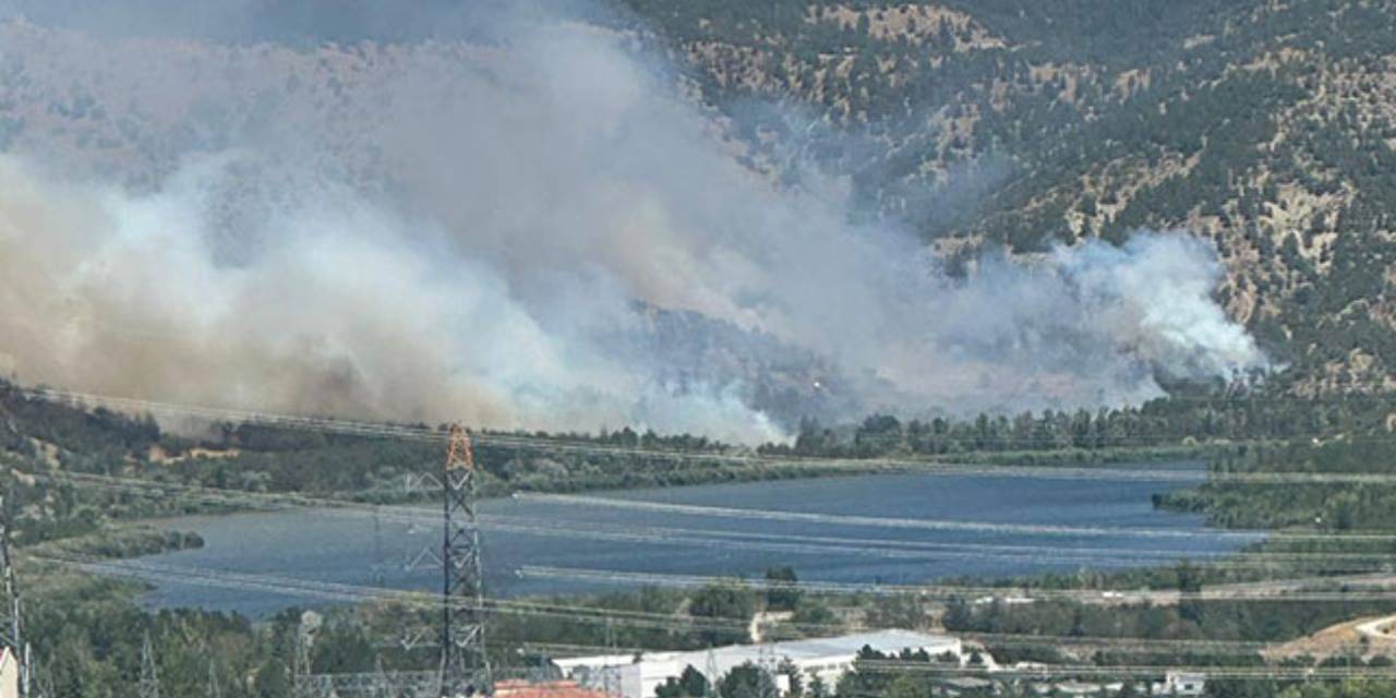 Eymir Gölü çevresinde yangın! Nedeni belli oldu