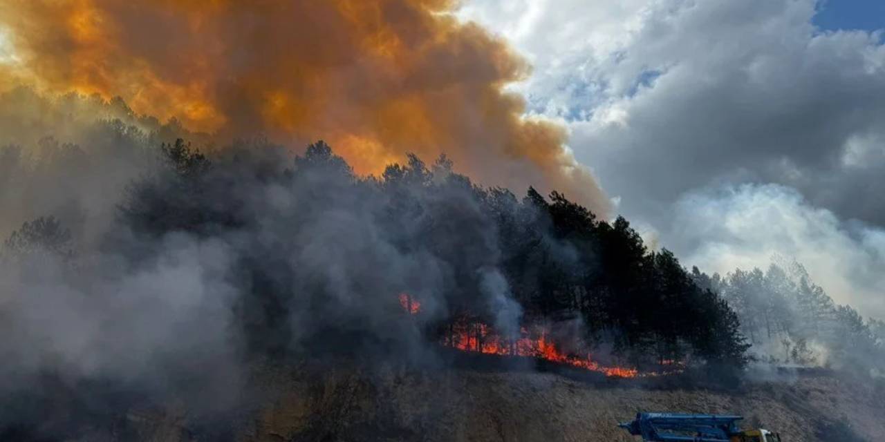 Son dakika | Ciğerlerimiz yanıyor! Bolu’da orman yangını