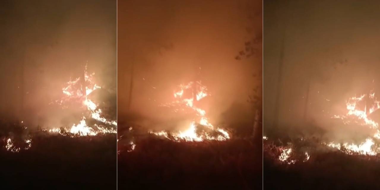 Kabus bitmiyor! Muğla'da orman yangını