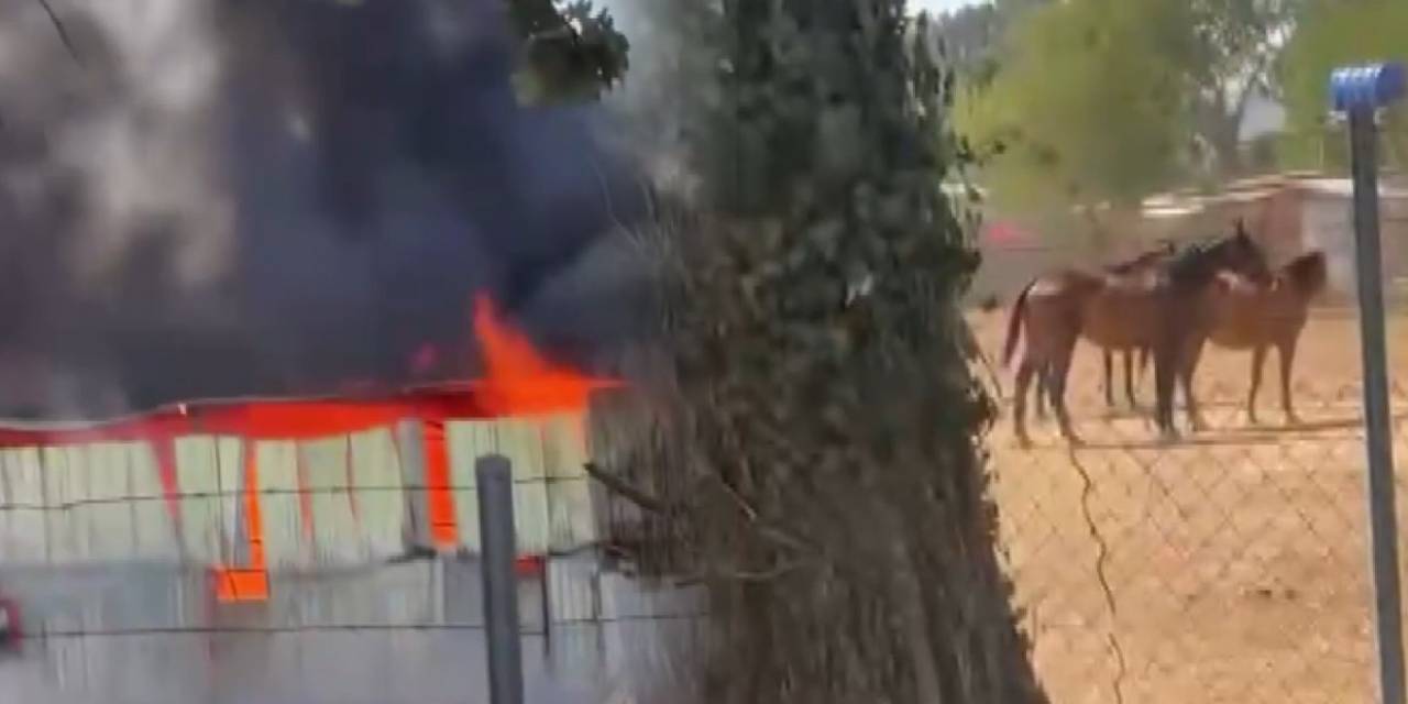 Çiftlikte yangın paniği! Atların paniği anbean kamerada