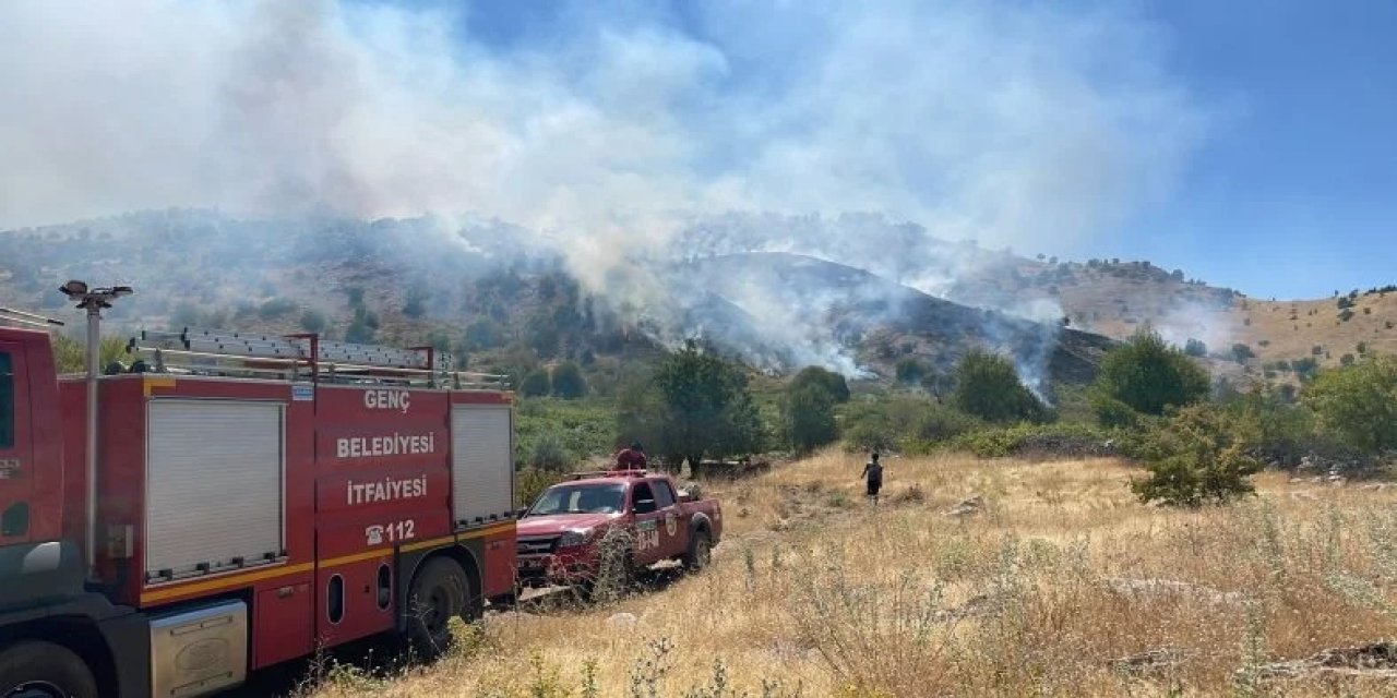 Bingöl'de orman yangını