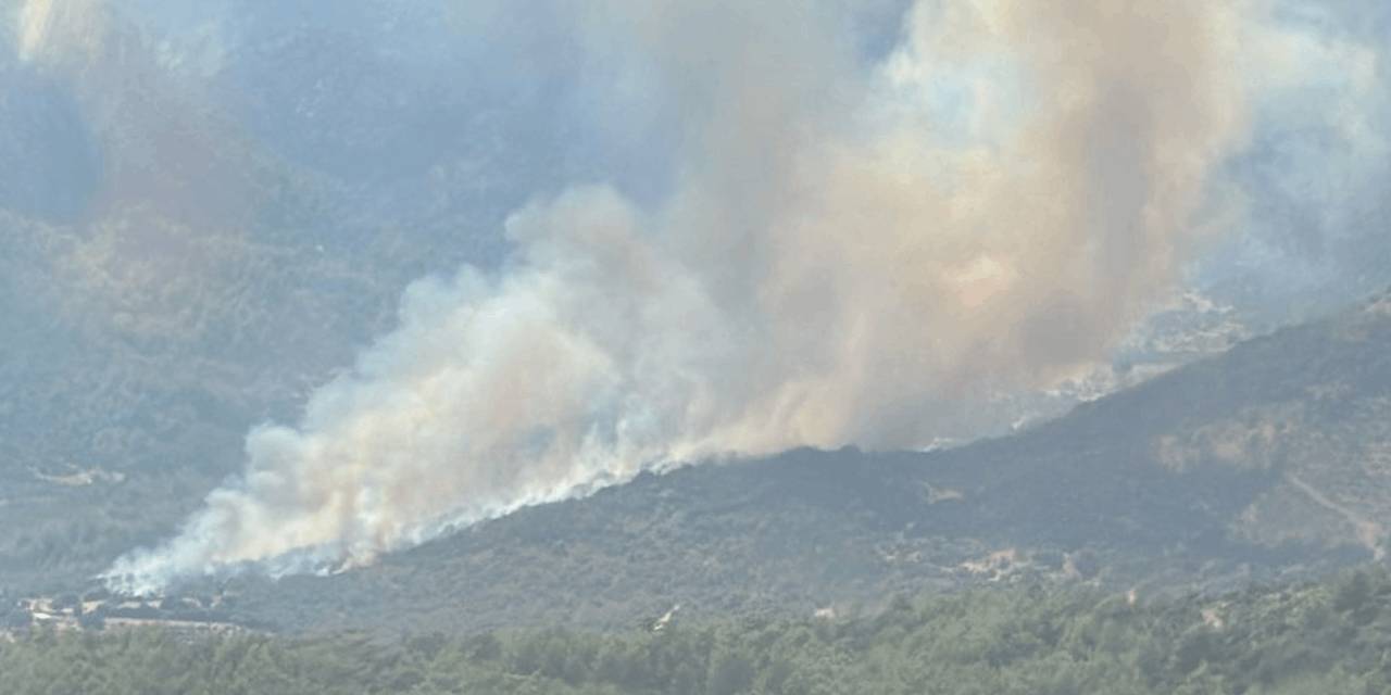 Muğla'da yerleşim yerine yakın bölgede yangın