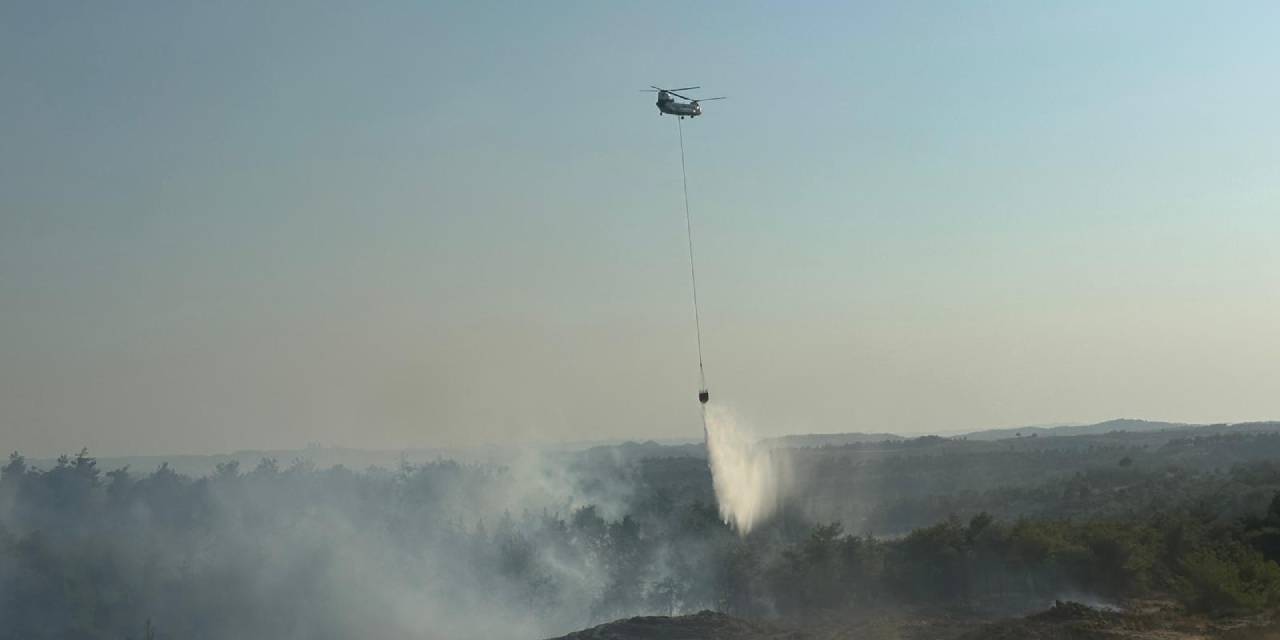 Adana'da orman yangını başladı