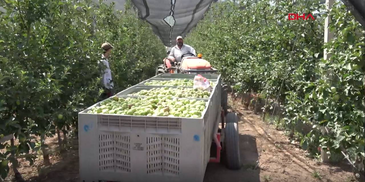 Don vurmuştu: Market fiyatı yükselecek