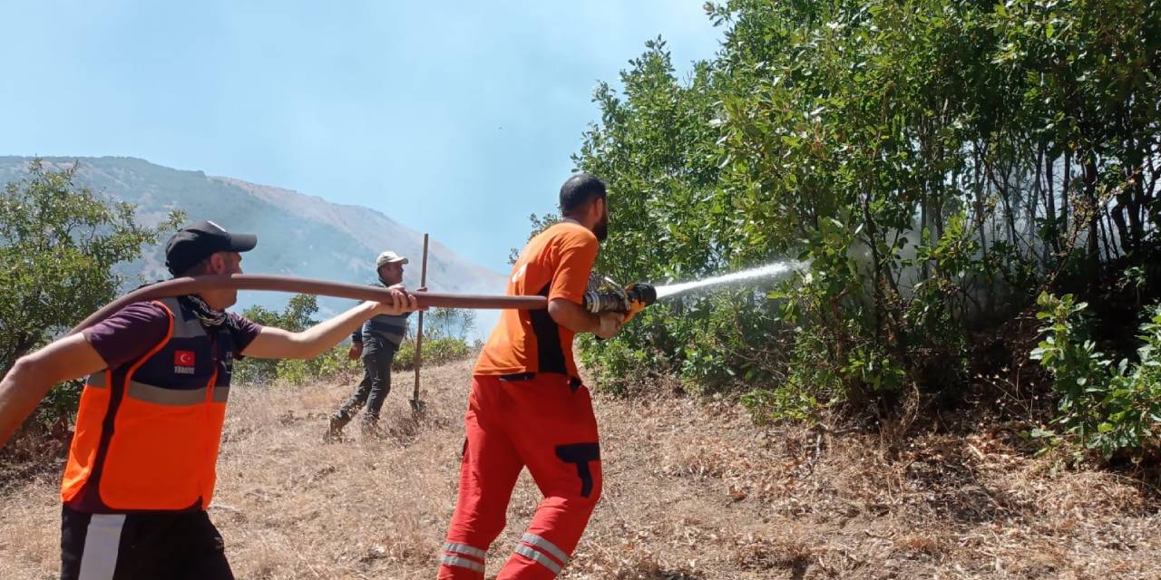 Hakkari’de ağaçlık alanda çıkan yangın söndürüldü