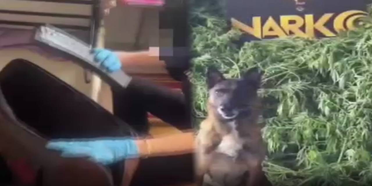 2 evinde kilolarca uyuşturucu çıktı!