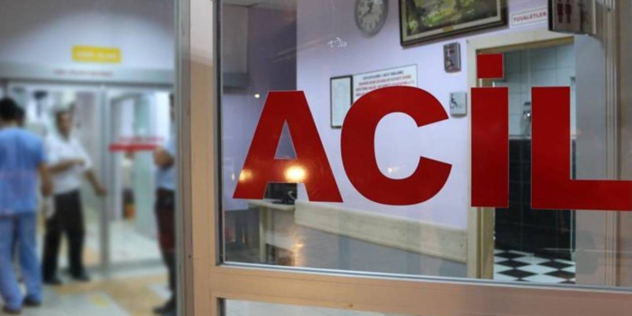 Artvin'de iş cinayeti: Üzerine ağaç devrilen kesim işçisi yaşamını yitirdi