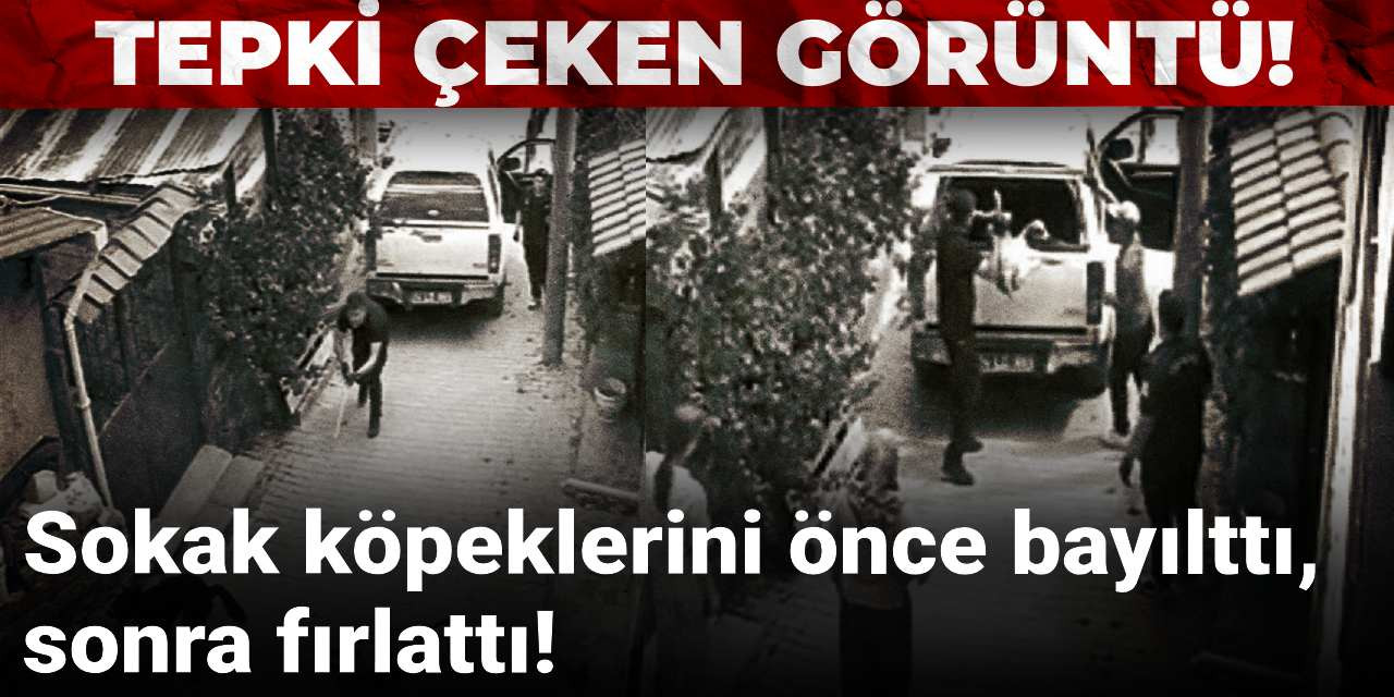 Önce bayılttı, sonra fırlattı!