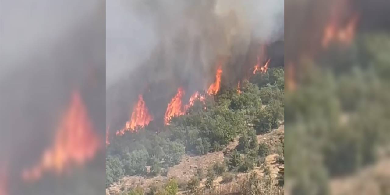 Malatya'da orman yangını
