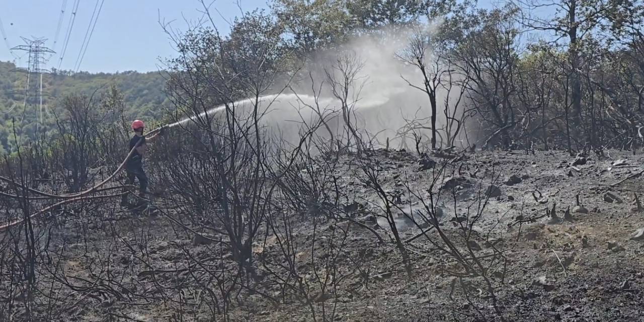 Çekmeköy'de ormanlık alanda çıkan yangın kontrol altında