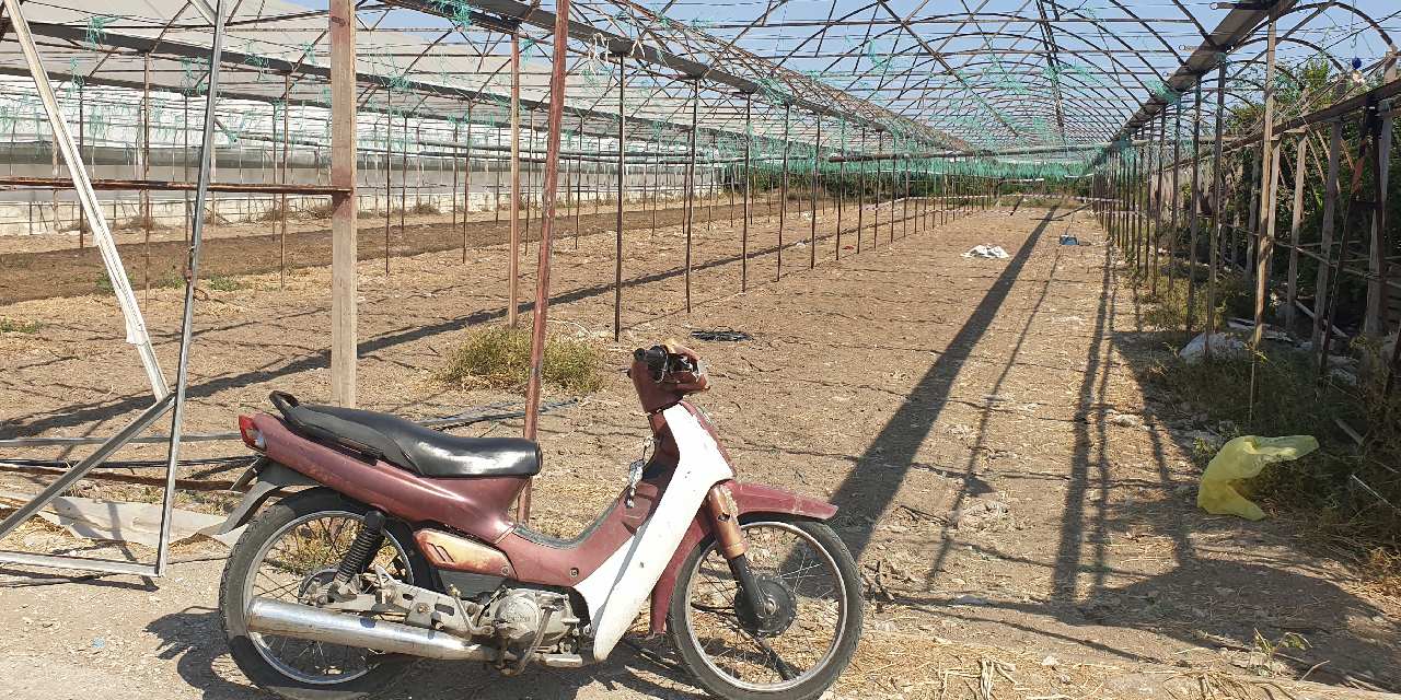 Pompalı tüfekle serayı bastı 2 kişiyi öldürdü