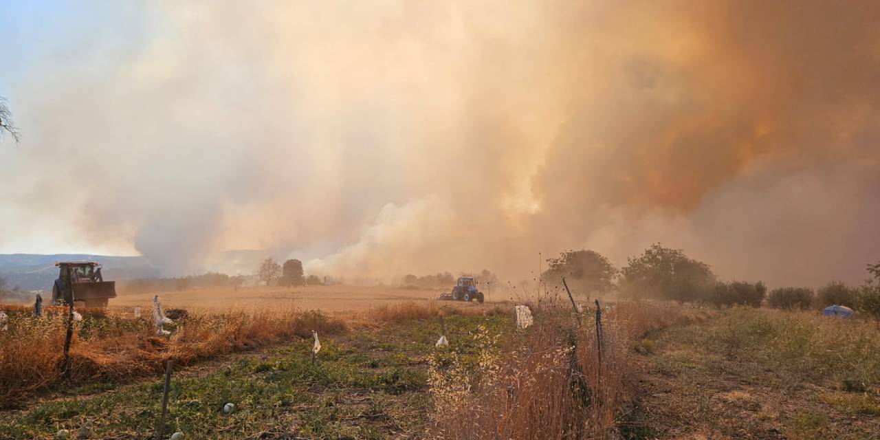 Çanakkale'de orman yangını