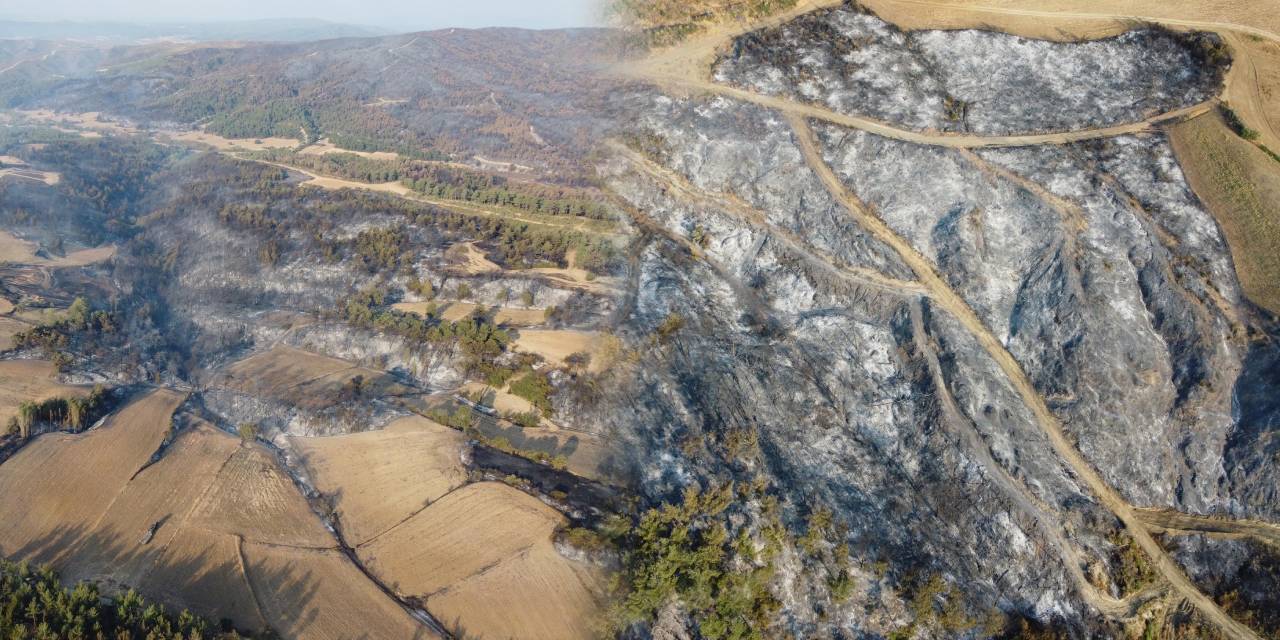 Çanakkale yangını 2 gün sonra kontrol altında! Alevlerin yarattığı yıkım yürek yaktı