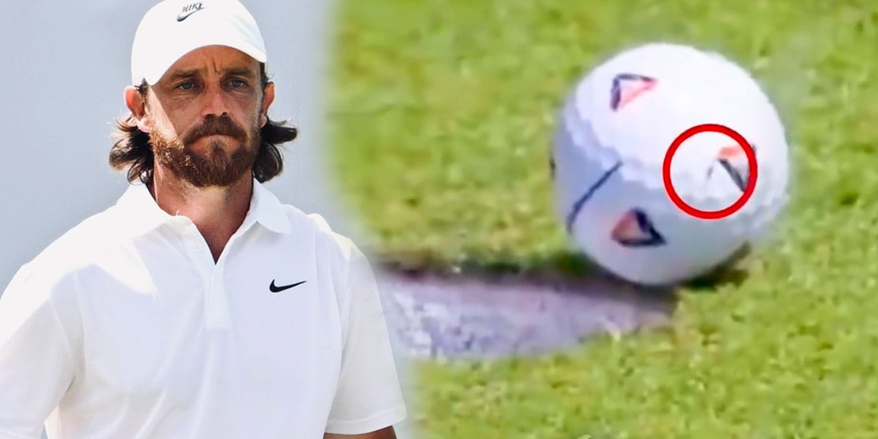 Sinek topa kondu: 900 bin dolar kazandı