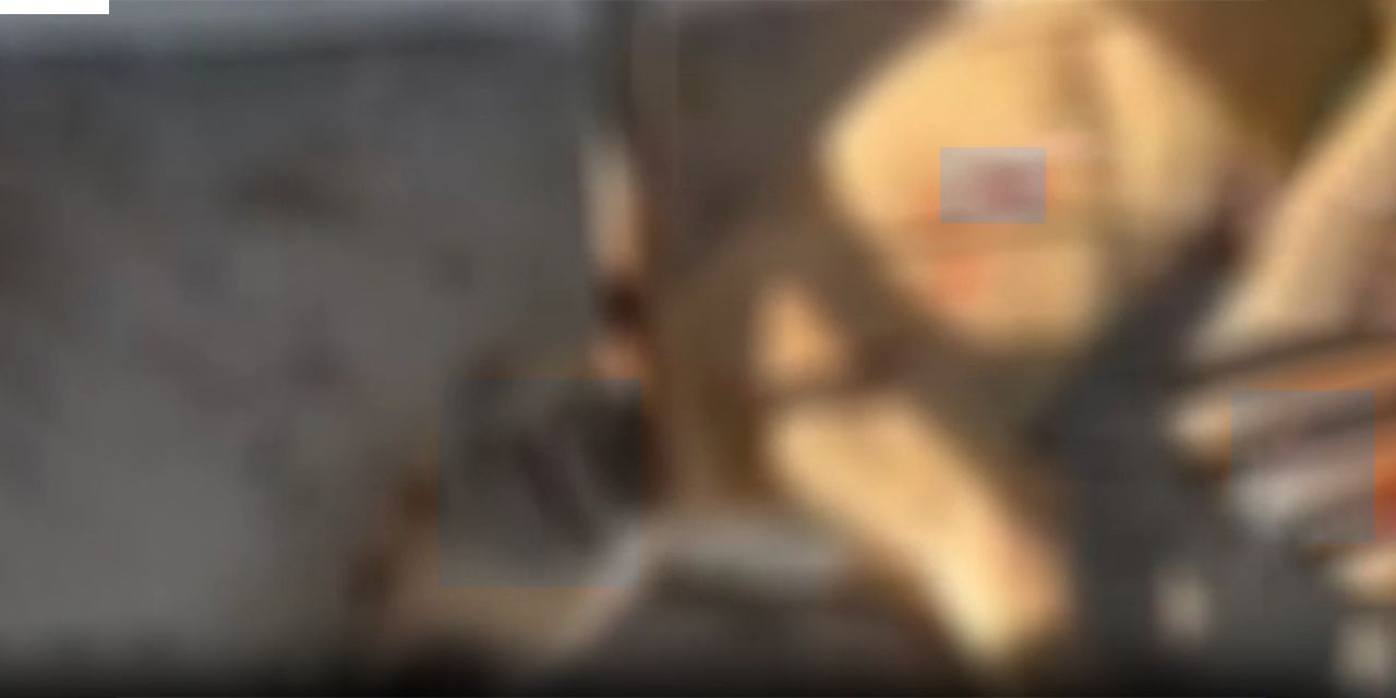 Onlarca köpeği diri diri gömmüşlerdi! Osmaniye barınağında bir vahşet daha: Sahiplenileceği gün boğularak öldü!