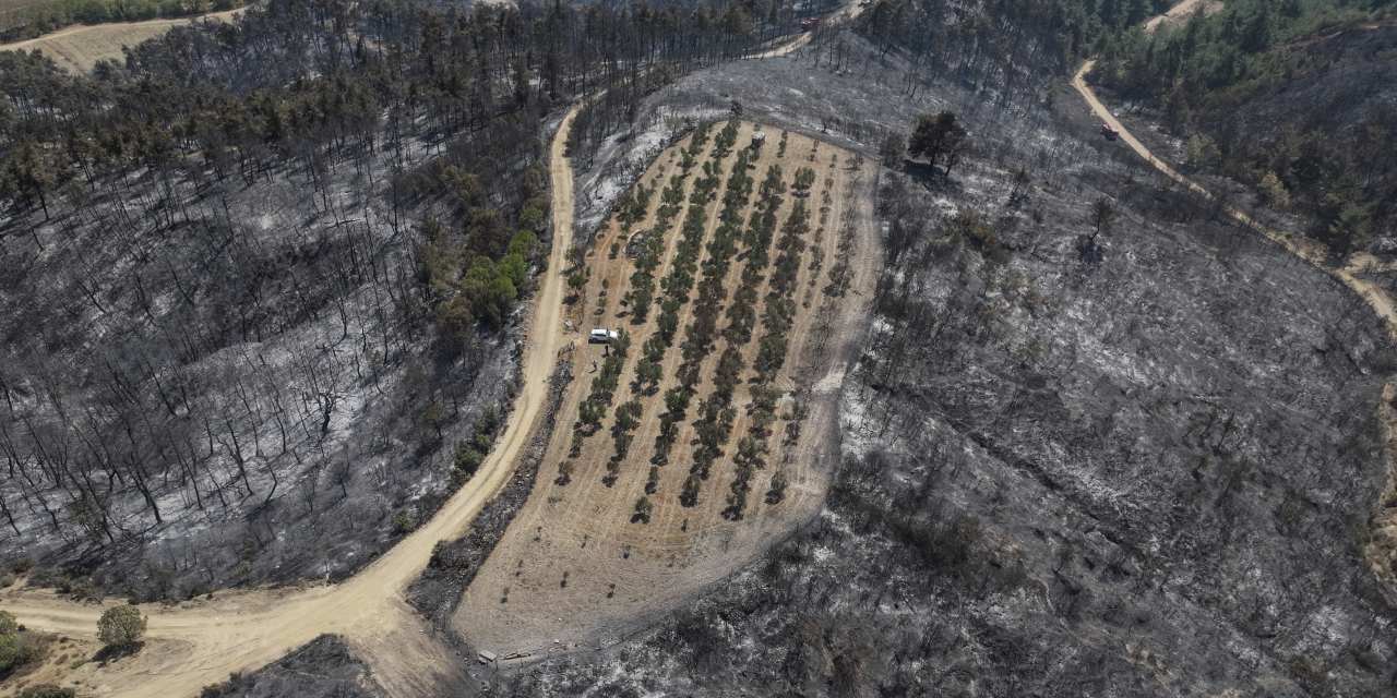 Mucize değil emek ve bilimin gücü: Alevler orayı teğet geçti