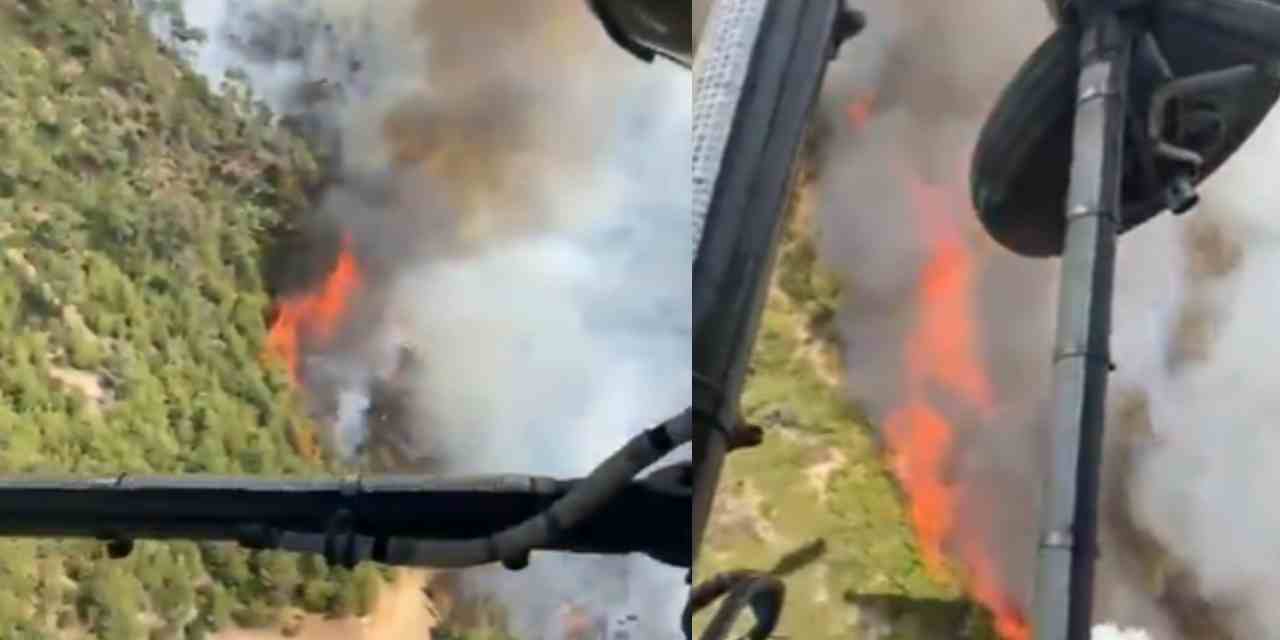 Denizli'de ormanlar alevlere teslim!