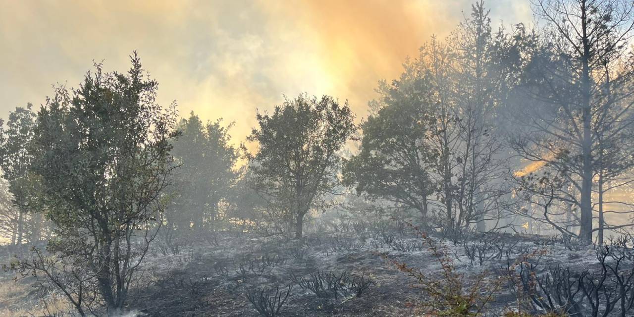 Ordu'dan 4 saat sonra güzel haber geldi! Yangın kontrol altında